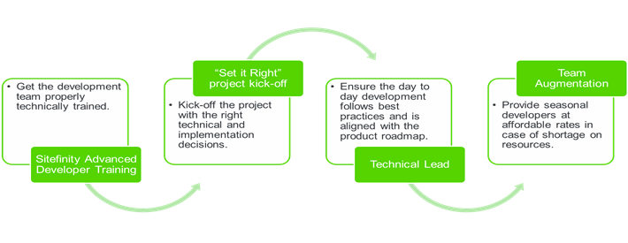 Sitefinity Professional Services Best Practices Sitefinity Professional Services Best Practices