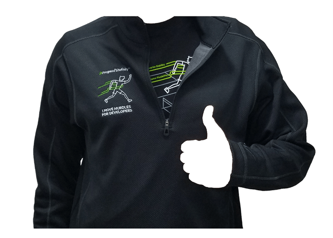 Sitefinity Developer Sitefinity Developer