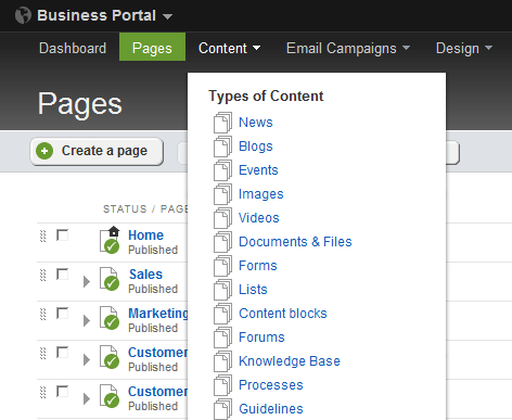 Sitefinity intranet administrative area Sitefinity intranet administrative area