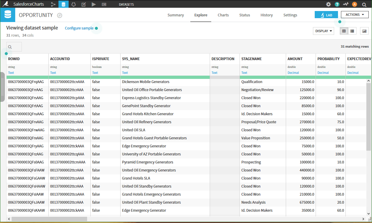 Salesforce Dataiku JDBC 8 Salesforce Dataiku JDBC 8