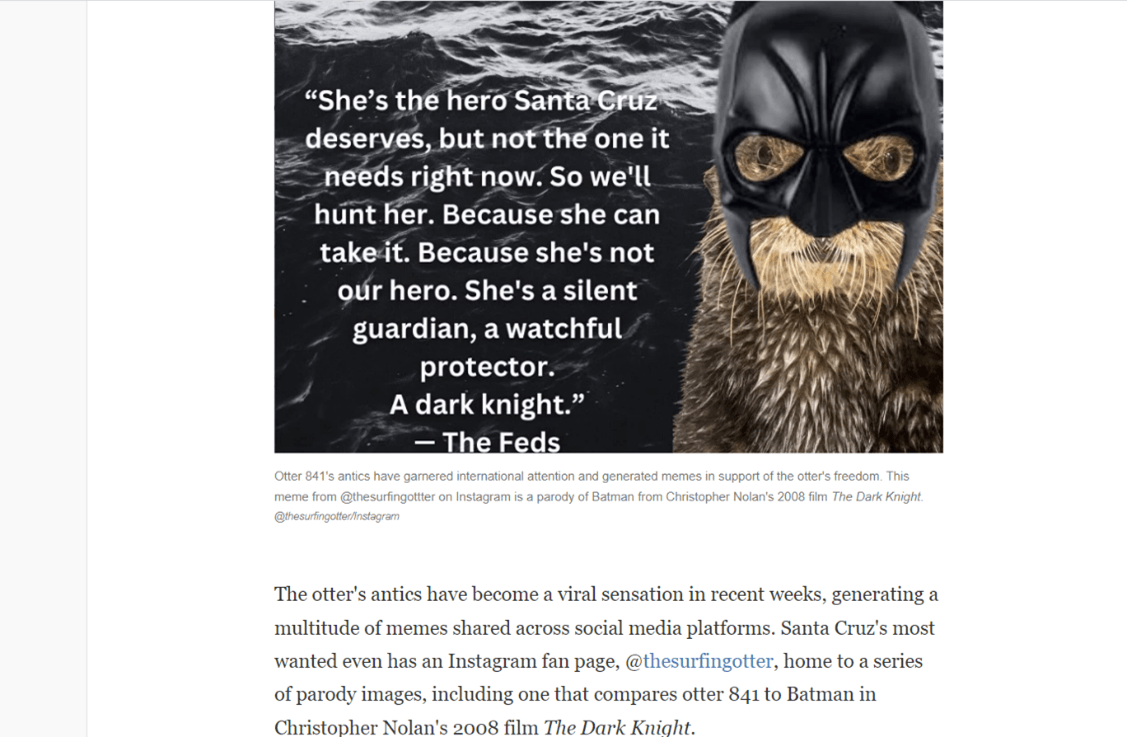 A news story featuring a photo of an otter wearing a mask. The otter is being compared to Batman in the movie The Dark Knight.